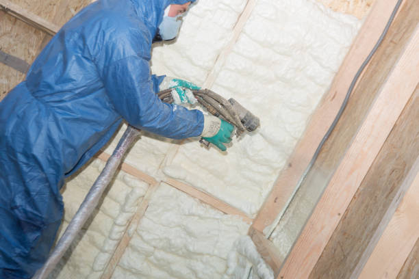 Best Commercial Insulation Services  in Western Springs, IL